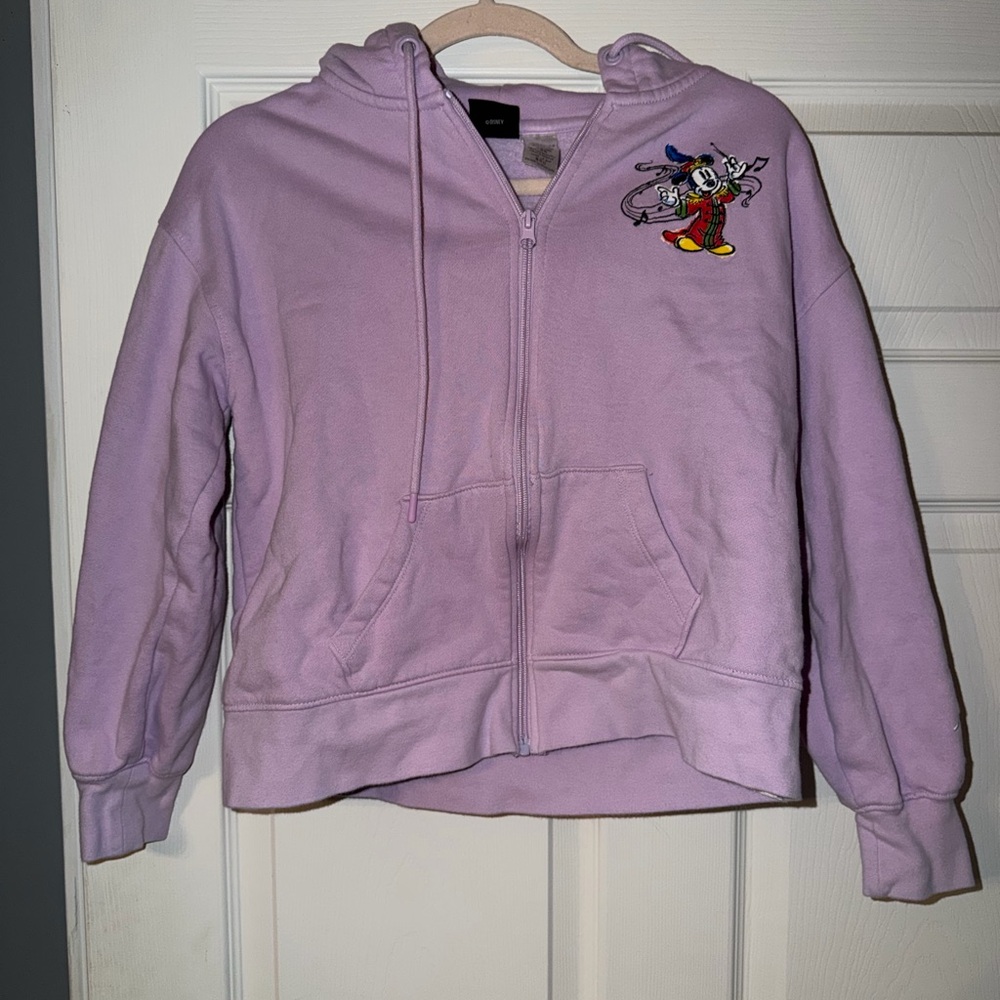 Disney 100 Zip-Up Hoodie